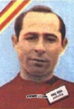 Sticker Ruiz Sosa - Campeonato Mundial de Futbol 1962
 n. 9 - DISGRA