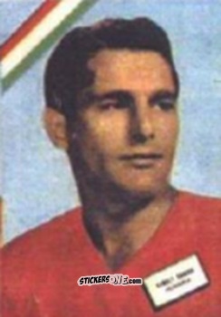 Sticker Sandor - Campeonato Mundial de Futbol 1962
 n. 275 - DISGRA