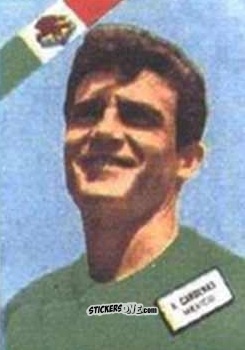 Sticker Cárdenas - Campeonato Mundial de Futbol 1962
 n. 291 - DISGRA
