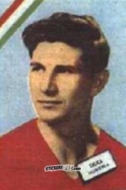 Sticker Talica - Campeonato Mundial de Futbol 1962
 n. 283 - DISGRA