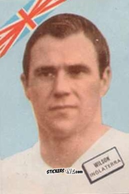 Sticker Wilson - Campeonato Mundial de Futbol 1962
 n. 43 - DISGRA