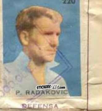 Sticker P. Radakovic - Campeonato Mundial de Futbol 1962
 n. 220 - Caramelos
