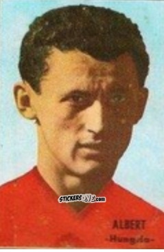 Sticker Albert - Campeonato Mundial de Fútbol 1966
 n. 159 - DISGRA