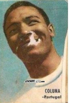 Sticker Coluna - Campeonato Mundial de Fútbol 1966
 n. 217 - DISGRA
