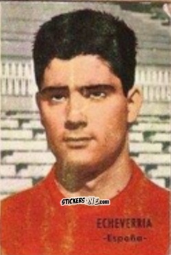 Sticker Echeverría - Campeonato Mundial de Fútbol 1966
 n. 100 - DISGRA