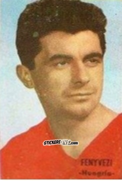 Sticker Máté Fenyvesi - Campeonato Mundial de Fútbol 1966
 n. 160 - DISGRA