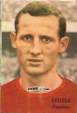 Cromo Gallego - Campeonato Mundial de Fútbol 1966
 n. 115 - DISGRA