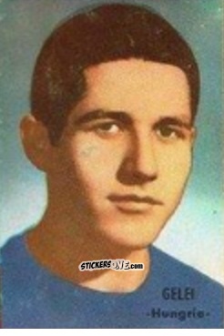 Sticker Gelei - Campeonato Mundial de Fútbol 1966
 n. 146 - DISGRA