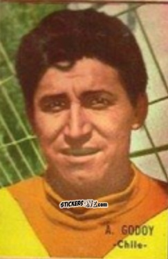 Cromo Godoy - Campeonato Mundial de Fútbol 1966
 n. 81 - DISGRA