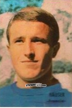 Sticker Hauser - Campeonato Mundial de Fútbol 1966
 n. 143 - DISGRA