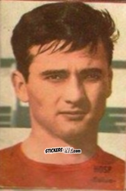 Sticker Hosp - Campeonato Mundial de Fútbol 1966
 n. 253 - DISGRA