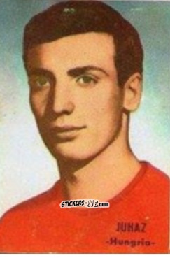 Sticker Kalman Ihasz - Campeonato Mundial de Fútbol 1966
 n. 150 - DISGRA