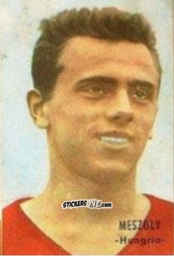 Sticker Meszoly - Campeonato Mundial de Fútbol 1966
 n. 148 - DISGRA