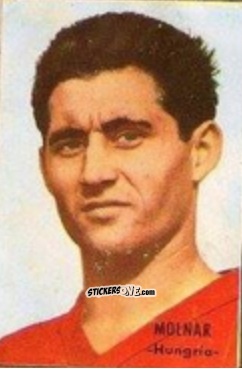 Sticker Molnar - Campeonato Mundial de Fútbol 1966
 n. 155 - DISGRA