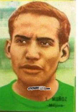Sticker Muñoz - Campeonato Mundial de Fútbol 1966
 n. 205 - DISGRA