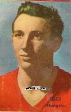 Sticker Nagy - Campeonato Mundial de Fútbol 1966
 n. 153 - DISGRA