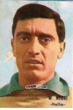 Cromo Negri - Campeonato Mundial de Fútbol 1966
 n. 178 - DISGRA