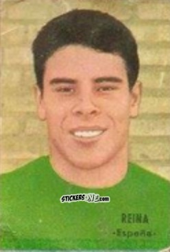 Figurina Reina - Campeonato Mundial de Fútbol 1966
 n. 113 - DISGRA
