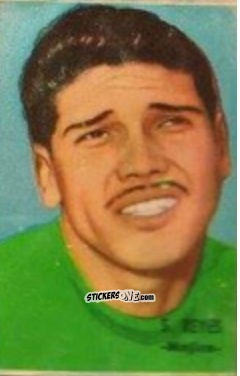 Cromo Reyes - Campeonato Mundial de Fútbol 1966
 n. 208 - DISGRA