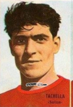 Figurina Ely Tacchella - Campeonato Mundial de Fútbol 1966
 n. 251 - DISGRA