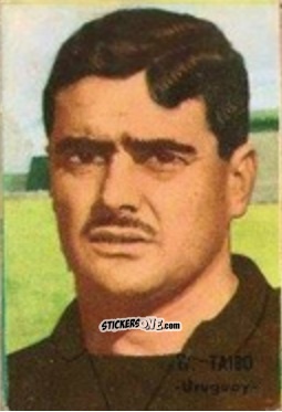 Sticker Taibo - Campeonato Mundial de Fútbol 1966
 n. 257 - DISGRA