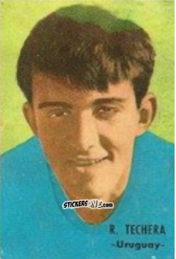 Figurina Techera - Campeonato Mundial de Fútbol 1966
 n. 263 - DISGRA