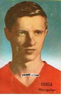 Sticker Varga - Campeonato Mundial de Fútbol 1966
 n. 158 - DISGRA