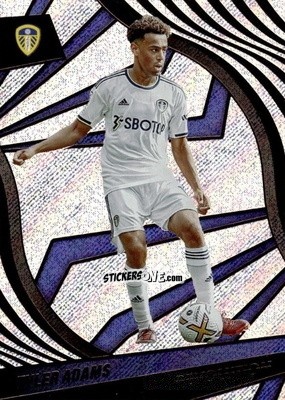 Cromo Tyler Adams