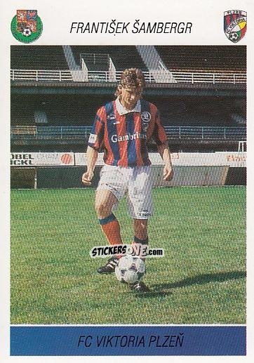 Sticker F. Stamberger - Podzim '94 Ceska Liga 1994-1995 n. 211 - Papyro
