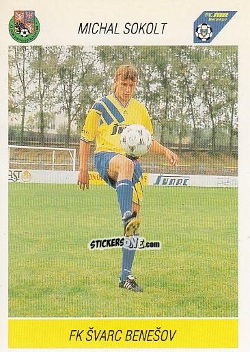 Sticker M. Sokol - Podzim '94 Ceska Liga 1994-1995 n. 10 - Papyro
