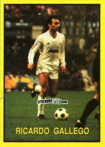 Sticker Ricardo Gallego - Les Grands Joueurs d'Europe 1988 n. 116 - Vallardi