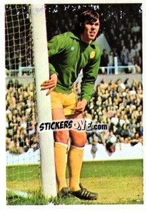 Figurina David Harvey - The Wonderful World of Soccer Stars 1974-1975 n. 138 - FKS