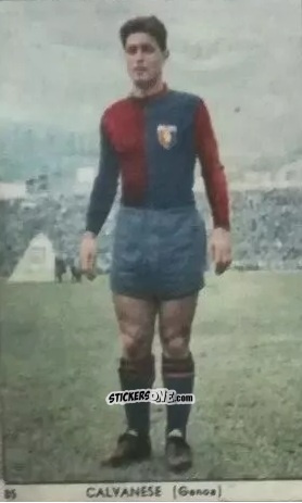 Sticker Salvatore Calvanese - I Calciatori di Serie A 1959-1960 Album N.1
 n. 85 - S.E.S.S.
