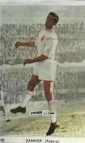 Sticker Luigi Zannier - I Calciatori di Serie A 1959-1960 Album N.1
 n. 185 - S.E.S.S.
