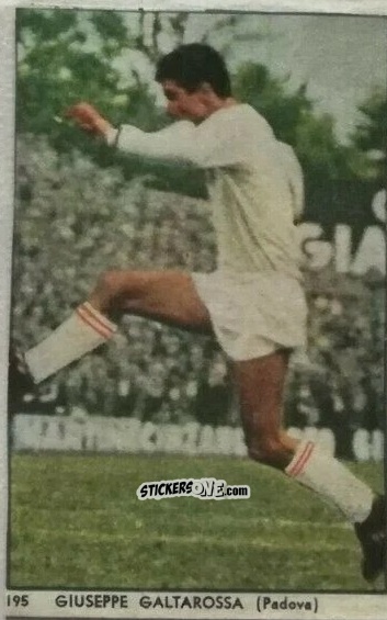 Sticker Giuseppe Galtarossa - I Calciatori di Serie A 1959-1960 Album N.1
 n. 195 - S.E.S.S.
