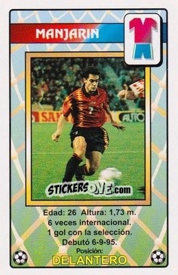 Sticker Manjarín - Juega con la Selección Española de fútbol 1996
 n. 21 - HERACLIO FOURNIER
