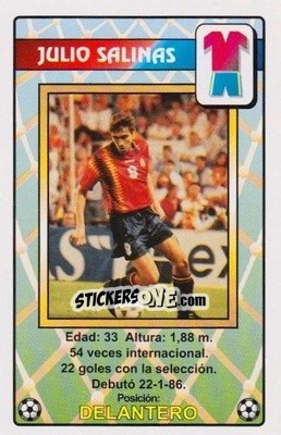 Sticker Julio Salinas - Juega con la Selección Española de fútbol 1996
 n. 22 - HERACLIO FOURNIER
