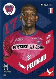 Figurina Andy Pelmard - Foot 2023-2024
 n. 52 - Panini