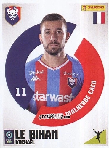 Cromo Mickaël Le Bihan