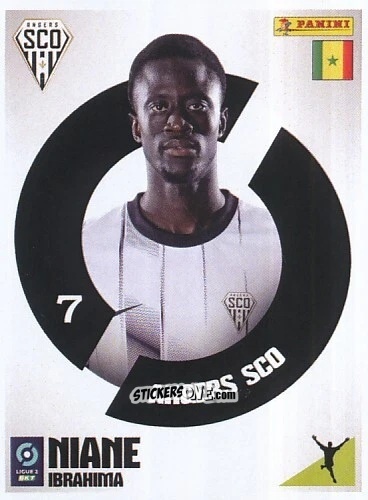 Cromo Ibrahima Niane