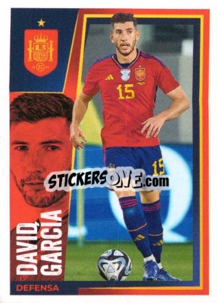 Figurina David Garcia - Carrefour ¡Vamos Selección!
 n. 14 - Panini