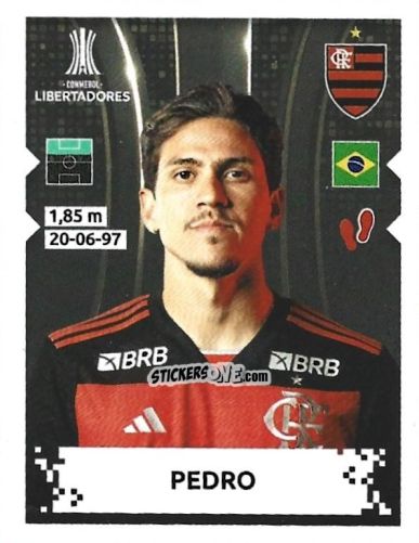 Cromo Pedro - Conmebol Copa Libertadores 2024 n. 112 - Panini