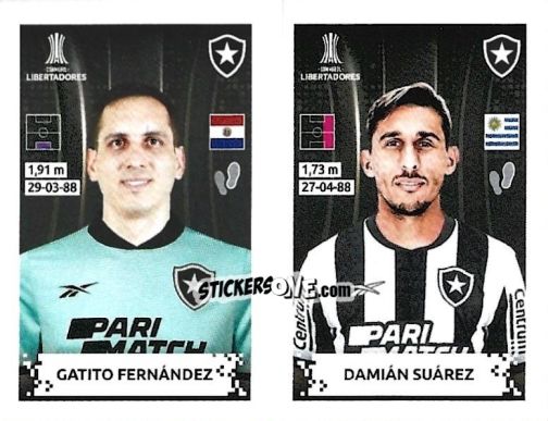 Cromo Gatito Fernandez / Damian Suarez - Conmebol Copa Libertadores 2024 n. 458 - Panini
