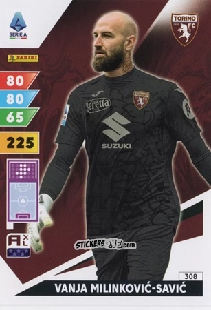 Cromo Vanja Milinković-Savić - Calciatori 2024-2025. Adrenalyn XL
 n. 308 - Panini
