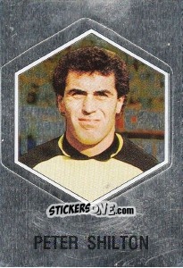 Cromo Peer Sniion - Supersport 1987 n. 246 - Panini
