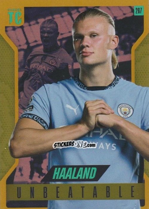 Cromo Erling Haaland - Premier League Top Class 2025
 n. 267g - Panini
