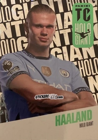 Cromo Erling Haaland - Premier League Top Class 2025
 n. HG8 - Panini