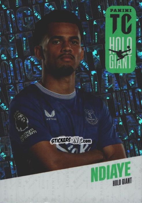 Cromo Iliman Ndiaye - Premier League Top Class 2025
 n. HG10 - Panini