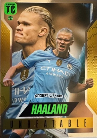 Cromo Erling Haaland - FIFA Top Class 2025
 n. 262 - Panini