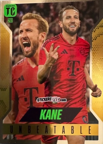 Sticker Harry Kane - FIFA Top Class 2025
 n. 263 - Panini